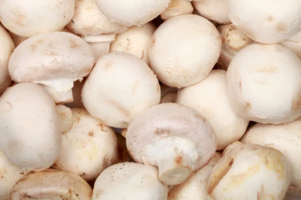 Fresh mushrooms — Stock Photo, Image