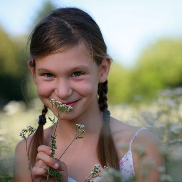 Девушка на цветочном лугу — стоковое фото