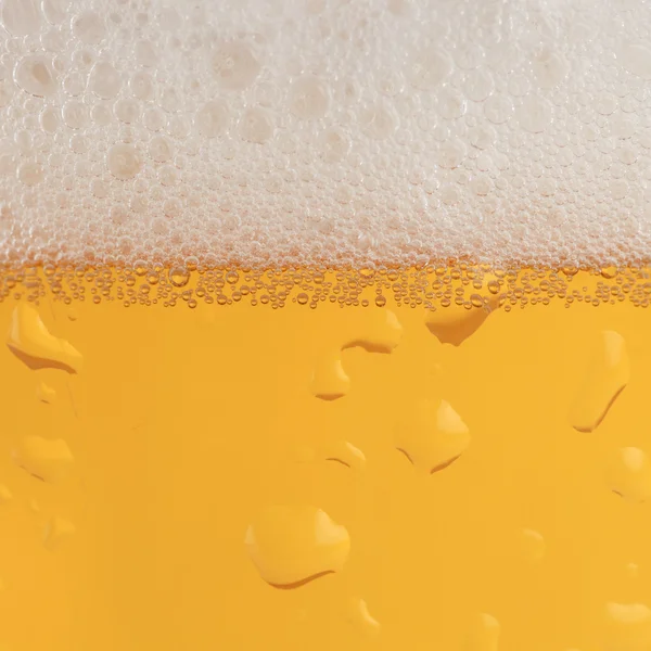 Beer with froth — Stock Photo, Image