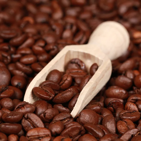 Rostade kaffebönor på en träsked — Stockfoto