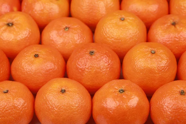 Tangerines — Stock Photo, Image