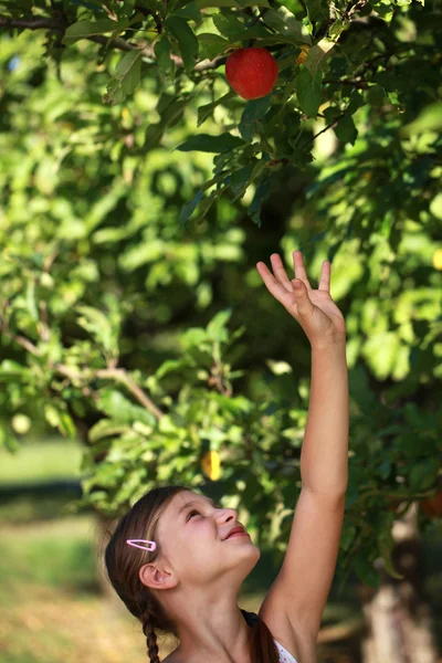 Girl reaching up for an apple — Stock Photo, Image