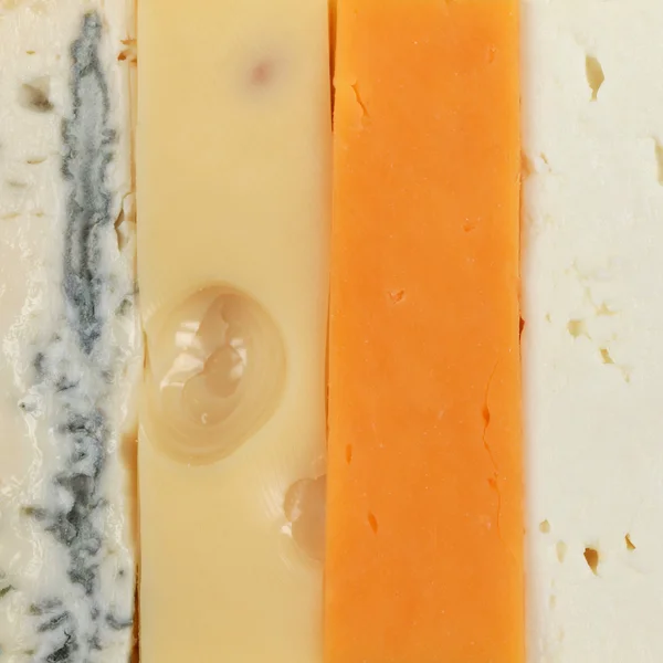 Four different types of cheese — Stock Photo, Image