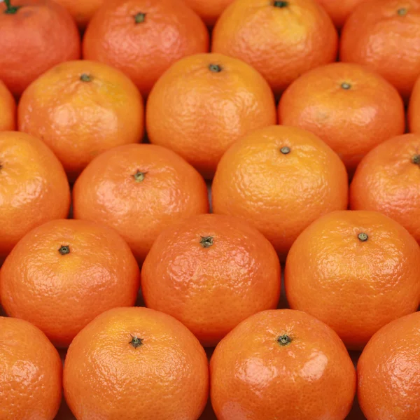 Freshly harvested tangerines — Stock Photo, Image