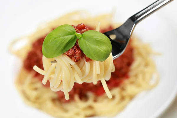 Spaghetti Bolognese — Stock Photo, Image