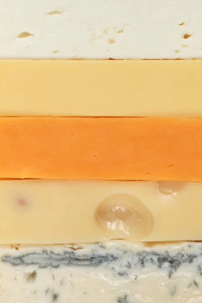 여러 종류의 치즈 — 스톡 사진