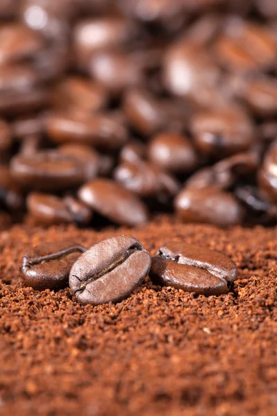 近镜头的咖啡豆 — 图库照片
