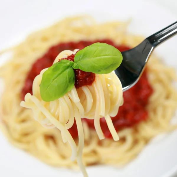 Spaghetti con salsa di pomodoro — Foto Stock