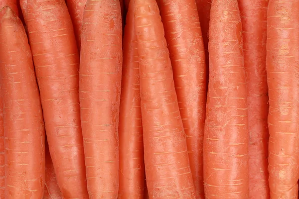 Φρέσκα καρότα, σχηματίζοντας ένα φόντο — Φωτογραφία Αρχείου