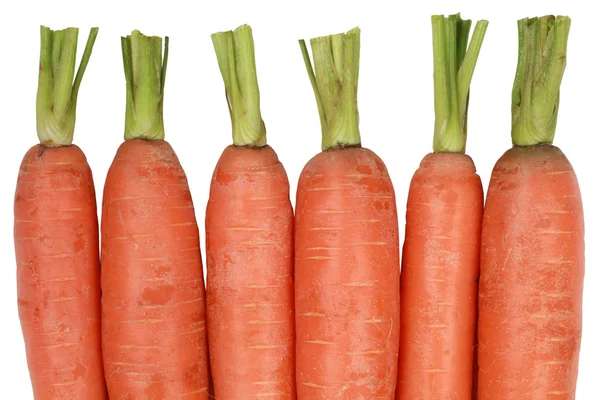 Zanahorias frescas, aisladas sobre un fondo blanco —  Fotos de Stock