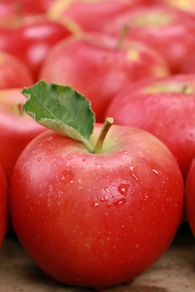 Rode appel met een blad — Stockfoto