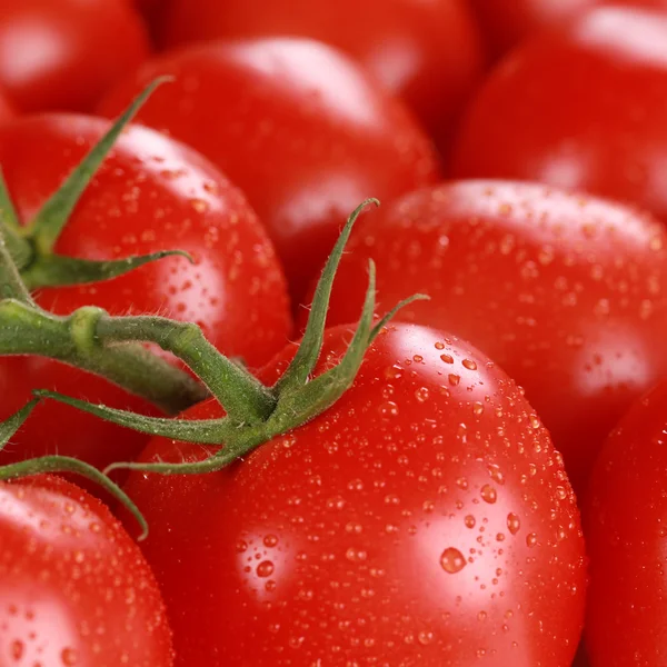 Makroaufnahme von frischen Tomaten — Stockfoto