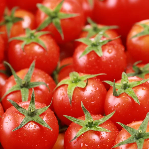 Grupo de pequeños tomates cóctel —  Fotos de Stock