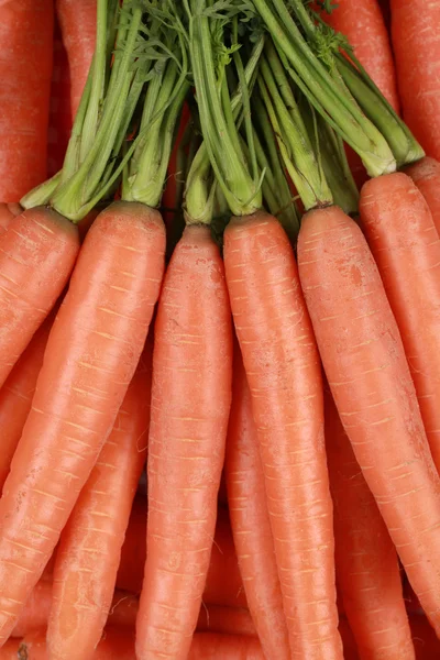 Щойно вибрав морква — стокове фото