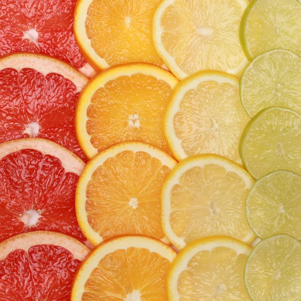 Sinaasappelen en citroenen achtergrond — Stockfoto