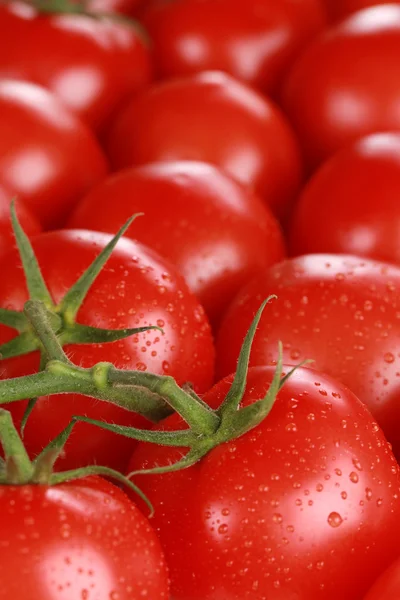 Tomaten bilden einen Hintergrund und mit Copyspace — Stockfoto