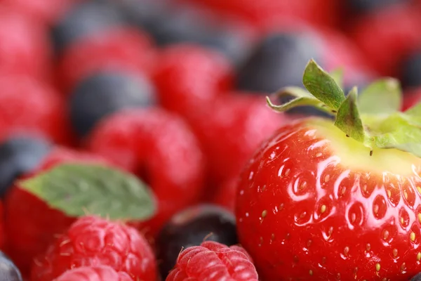 Frutas con espacio de copia — Foto de Stock