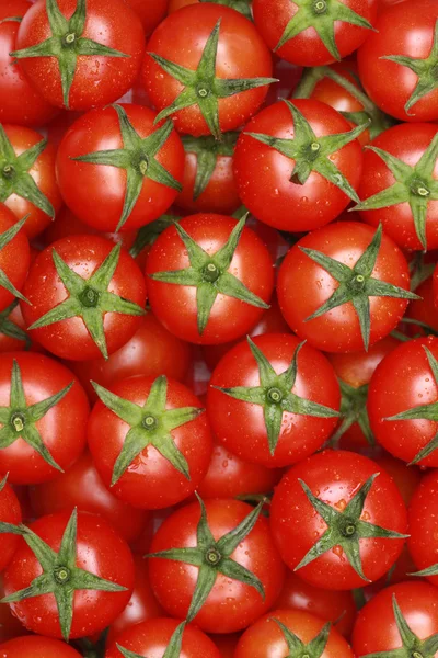 小さいトマトの背景を形成 — ストック写真