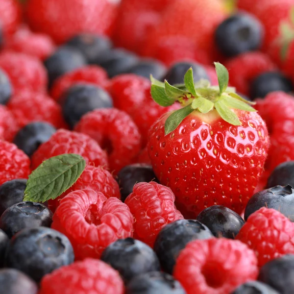 Frutas de verano — Foto de Stock