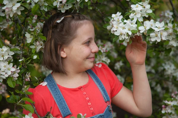 Девушка под цветущей яблоней — стоковое фото