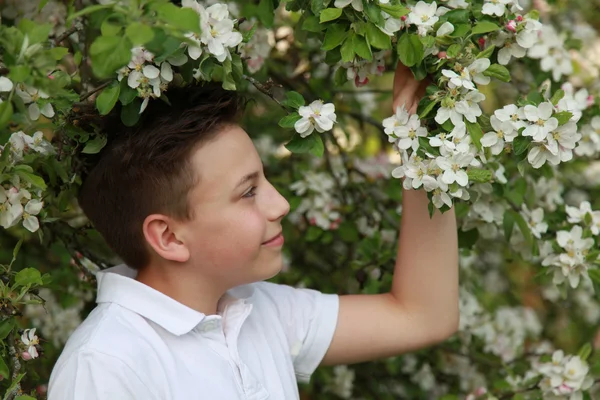 Мальчик под цветущей яблоней — стоковое фото