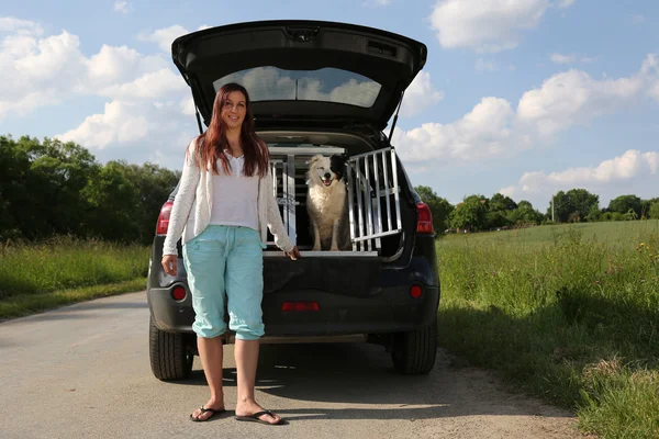 Young woman and a dog at a car — Stock Photo, Image
