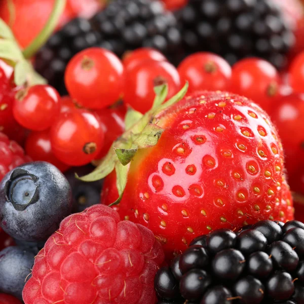 Erdbeeren, Blaubeeren, rote Johannisbeeren, Himbeeren und Schwarzbeeren — Stockfoto