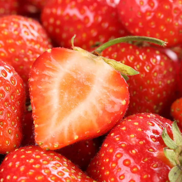 Fresas orgánicas frescas — Foto de Stock