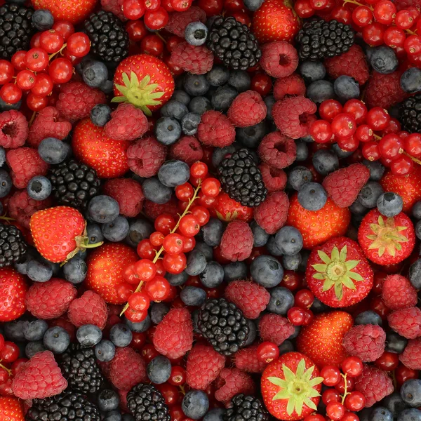 Berries background — Stock Photo, Image