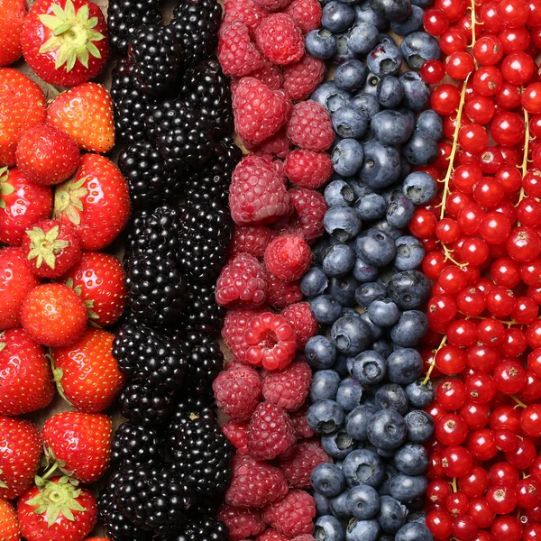 신선한 베리 과일 배경 — 스톡 사진