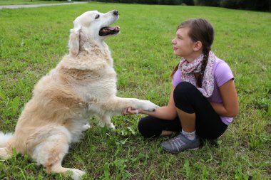 bir çocuk elini sıkarken köpek