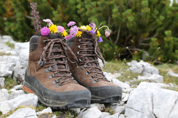 Botas de caminhada com flores nas montanhas — Fotografia de Stock