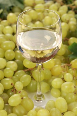 Bardakta beyaz şarap.