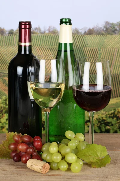 Rot- und Weißwein in Flaschen — Stockfoto