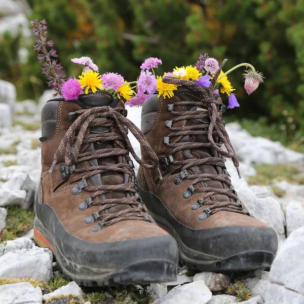 Botas de caminhada com flores nas montanhas — Fotografia de Stock