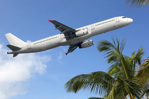 Airplane taking off between palm trees into vacation — Stock Photo, Image