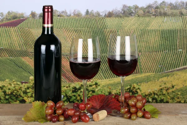 Red wine in bottle in the vineyards in autumn — Stock Photo, Image