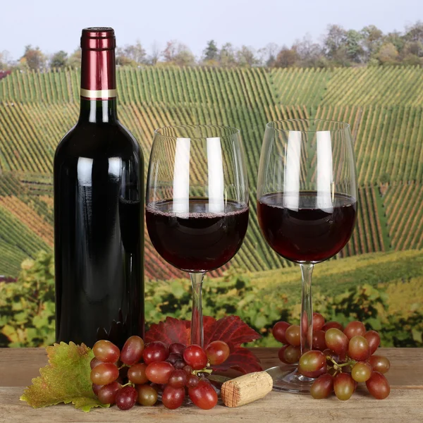 Červené víno v láhvi a skla v vinice — Stock fotografie