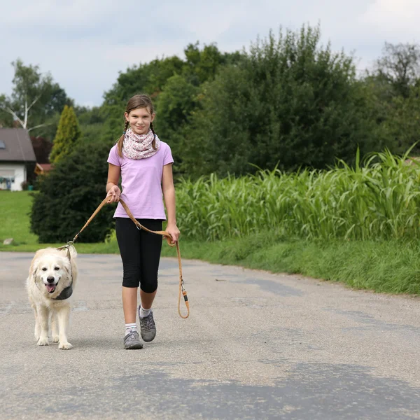 Golden retriever köpeği yürüyüşe alarak kız — Stok fotoğraf