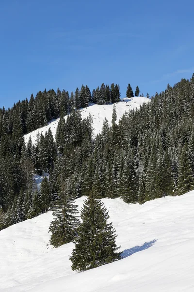 Florestas cobertas de neve nas montanhas no inverno — Fotografia de Stock