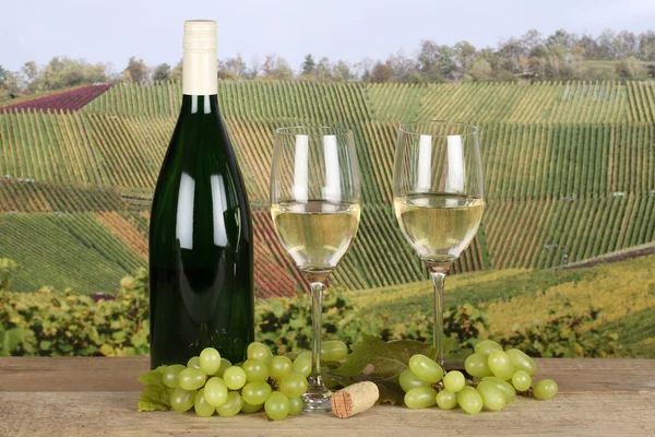 Vino blanco fresco en botella y copas en los viñedos — Foto de Stock