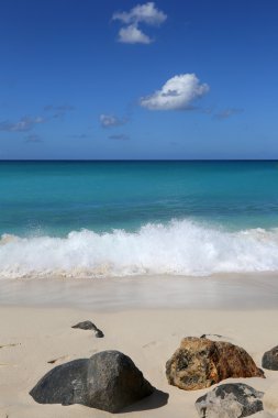 plaj ve deniz dalgaları