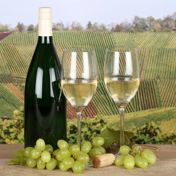 Vin blanc dans les verres dans les vignes — Photo