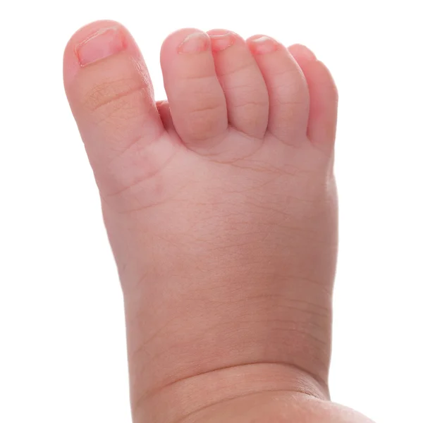 Foot of a little baby — Stock Photo, Image