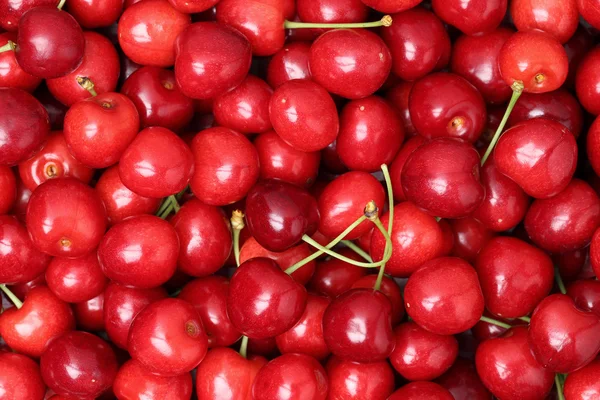 Rote reife Kirschen bilden einen Hintergrund — Stockfoto