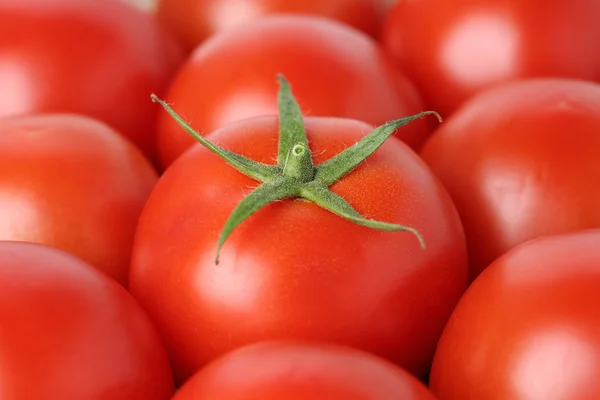 Primo piano di un vegetale di pomodoro — Foto Stock