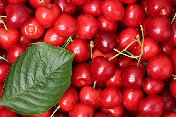 Red cherries with a leaf forming a background — Stock Photo, Image