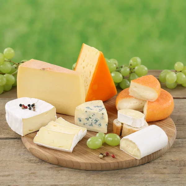 Plate with Camembert, Gouda and Swiss cheese — Stock Photo, Image