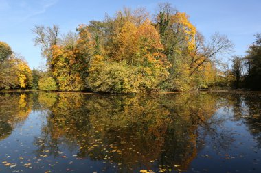 Sonbaharda renkli ağaçlar