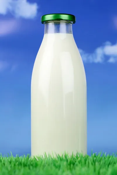 Fresh milk in a bottle on green meadow — Stock Photo, Image